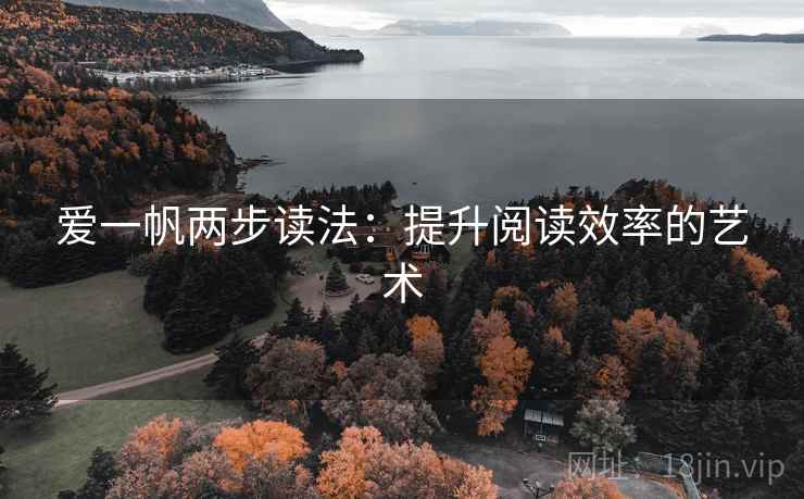 爱一帆两步读法：提升阅读效率的艺术